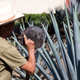 Illustration for article titled How Tequila Geniuses Made the Best-Tasting Spirit I've Ever Had